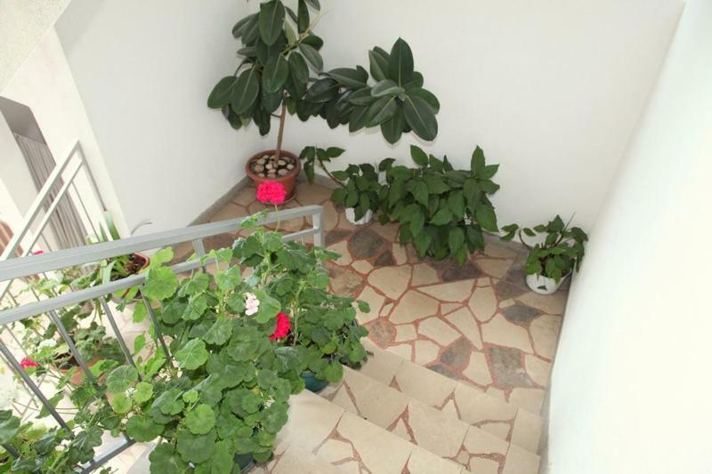 Apartments Villa Ravlic Makarska Bagian luar foto